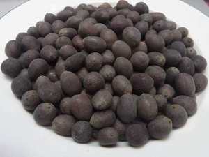 เมล็ดบัวดำอบแห้งพรีเมียมจากเวียดนาม สำหรับการค้าส่งออกทั่วโลก ราคาแข่งขัน ผลผลิตใหม่พร้อมจำหน่ายแล้ว - Product Image 3