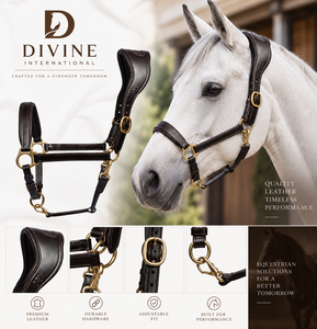 Harnais en cuir pour chevaux, équipement équestre professionnel en gros de Divine International Uttar Pradesh - Product Image 6