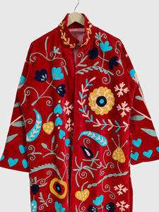 Veste en velours pour femmes grande taille brodée à la main, col mandarin, manches longues, motif floral, manteau long, vêtements d'hiver - Product Image 2