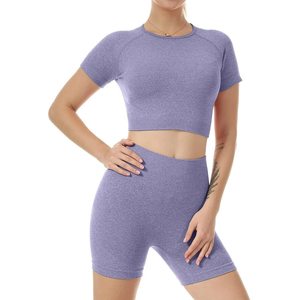 Casual Wear Wholesale High Quality Women Sports Gym Wear Workout <b>Set</b> Crop Top 2 Piece Seamless Sleeveless Yoga <b>Set</b> - Product Image 5