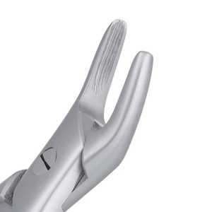 Pinzas de Extracción Dentales Quirúrgicas 76S con Dientes Serrados para Raíces Superiores, Instrumento de Cirugía Oral de Acero Inoxidable - Product Image 6