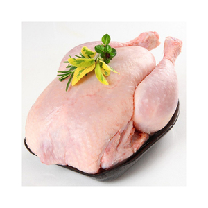 ไก่ฮาลาลแช่แข็งคุณภาพดี ไก่แช่แข็งทั้งตัว และชิ้นส่วนไก่ - Product Image 4