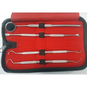 Kit d'hygiène bucco-dentaire manuel en gros avec ensemble de nettoyage des dents en acier inoxydable de haute qualité et étui en cuir, marque privée - Product Image 2