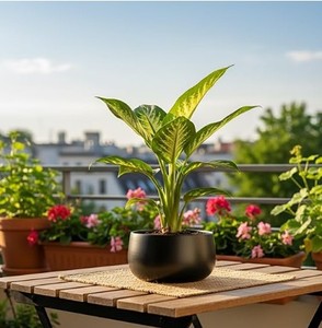 Pot de fleurs élégant en fer rustique et moderne pour balcon et terrasse - Product Image 2