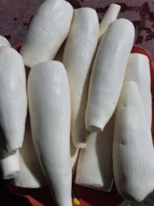 Fournisseur en gros de cassave congelée IQF de qualité supérieure, pelée, en morceaux entiers, export du Vietnam - Mme Tarina - Product Image 4