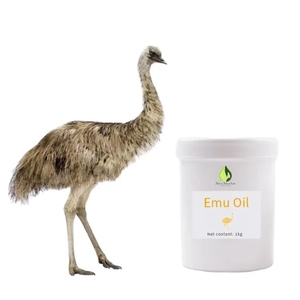 Huile d'ému 1 kg, huile de massage naturelle pure pour tous types de peau, parfum terrestre - Product Image 1