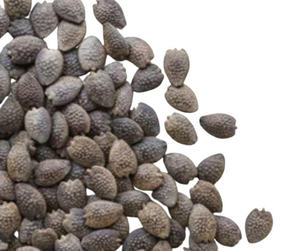 Premium Quality Made In Vietnam Cheap Price Best Selling Selected Dried Passion Fruit <b>Seeds</b> <b>Packed</b> in 25kg Bag - Product Image 3