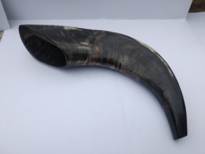 Corne de Bélier / Corne de Mouton Artisanat Naturel 100% Corne de Bélier Naturelle Polie Shofar pour la Récitation - Product Image 5