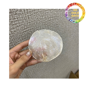 Handmade Capiz <b>Shell</b> Sheets for Home Decor <b>Lighting</b> Panel Eco Friendly Natural Sea <b>Shell</b> Material - Product Image 2