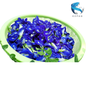 Flores de Guisante Mariposa Secas Premium, Pétalos Azules Naturales para Procesamiento de Bebidas, Preparación de Té, Venta al por Mayor, Suministro Directo de Vietnam - Product Image 4