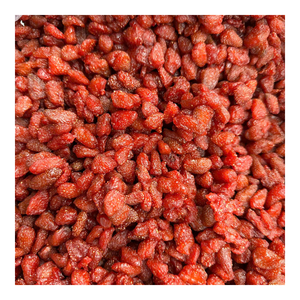 PRODUCTO DE LA MEJOR CALIDAD / MÁS VENDIDO Fresas Secas Masticables y Suaves Diseñadas para Consumo como Snack, Paquetes de Regalo y Presentación Minorista - Product Image 4