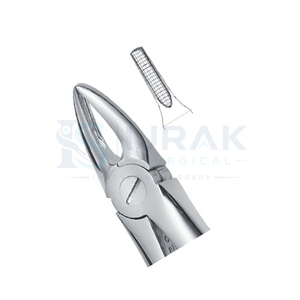 คีมถอนฟัน ฟันหน้าบน รากฟัน สแตนเลส เครื่องมือผ่าตัดแบบใช้มือ คลาส 1 - Product Image 4