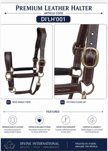 Cabestro de Cuero de Alta Calidad para Caballo, Modelo DI'LH'005, con Costuras Resistentes y Acabado Premium de Divine International Uttar Pradesh - Product Image 5