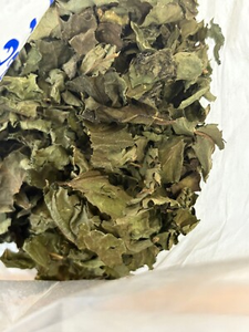 Proveedor Mayorista de Hoja Amarga Seca de Calidad de Exportación, Fábrica OEM, MEJOR CALIDAD ANGLE - Product Image 5