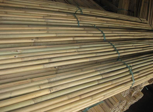 Fábrica de Varas de Bambú en Vietnam – Precios Competitivos para Compradores Globales - Product Image 2