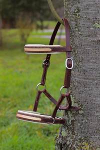 Brida de cuero marrón premium para caballo con frontal decorativo y diseño de acabado acolchado suave - Product Image 2