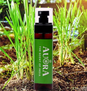 Désodorisant d'ambiance à la citronnelle 100 ml, spray liquide à base d'huiles essentielles, longue durée, pour la maison et la voiture, prix usine, étiquette personnalisée - Product Image 1