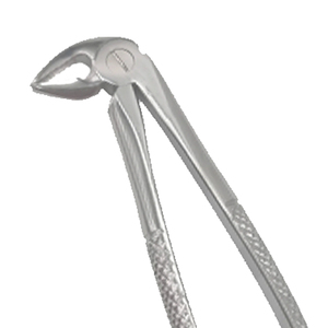 ARISTON INTERNATIONAL Pinzas de Extracción Dental Manuales de Acero Inoxidable de Alta Calidad, Pinzas de Extracción Pedo Cowhorn, CE - Product Image 2