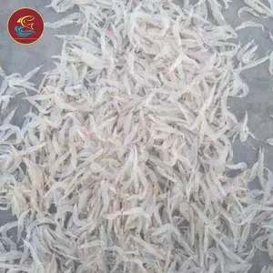 越南供应商为您的狗猫食品从干虾中捕获的高钙野生