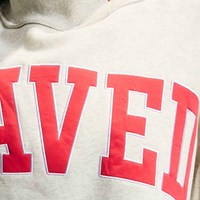 SAVED Sweat-shirt d'hiver oversize personnalisé en molleton de coton à col ras du cou pour femme et unisexe, avec broderie de lettres en chenille et col montant en sergé