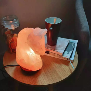 Lampes USB décoratives en cristal naturel de haute qualité avec logo personnalisé, exclusives et privées, mini lampes de sel de l'Himalaya - Product Image 5