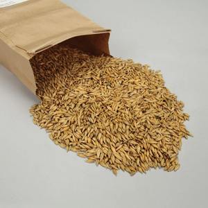 Cebada seleccionada de granja con limpieza avanzada para compradores mayoristas, que ofrece cebada con gran demanda en el mercado y gran confianza. - Product Image 3