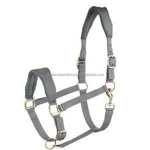 Halter de cheval en nylon entièrement réglable et rembourré doux dans de nombreuses couleurs et tailles personnalisées avec des accessoires en acier inoxydable plaqué laiton - Product Image 4