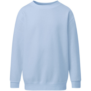 Fabricant d'usine – Sweat-shirts unis avec impression en relief, échantillon gratuit, logo personnalisé, 260G – Sweats à capuche et sweat-shirts pour hommes et unisexe - Product Image 3