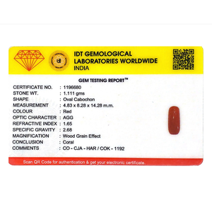 Natural Red Coral Oval Cabochon Loose Gemstone 5.56 Carat Certified Wholesale - Product Image 4