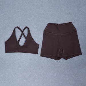 Conjunto de Yoga Premium para Mujer, Leggings Deportivos de Cintura Alta sin Costuras y Sujetador Deportivo, Ropa de Gimnasio y Fitness - Product Image 6