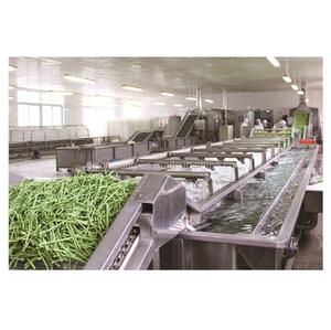 Ligne de traitement automatique de fruits et légumes surgelés de qualité supérieure pour le lavage, le tri et la congélation IQF, disponible au meilleur prix - Product Image 4