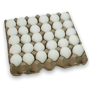 Œufs de poule blancs frais de ferme de haute qualité, fournisseur en gros pour l'exportation, œufs naturels et sains pour les acheteurs internationaux - Product Image 4