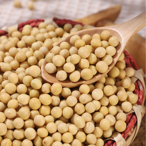 ถั่วเหลือง GMO จำนวนมาก คุณภาพสูง สำหรับผู้ซื้อระหว่างประเทศ - Product Image 6