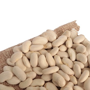 Highest Quality Natural Wholesale Top Grade White Kidney <b>Beans</b> For Exporting High Quality Large Big White Kidney <b>Beans</b> - Product Image 4