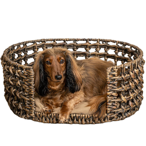 Lit pour animaux de compagnie portable en jacinthe d'eau tissé à la main, écologique, avec coussin amovible et lavable, rembourré en coton, utilisable toute l'année, fabriqué au Vietnam - Product Image 1