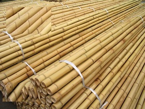 MITvn Bamboo Pole Raw Materials 2-9cm Natural Tonkin <b>Canes</b> Stakes 50cm-200cm <b>Garden</b> Plant Support for Home - Product Image 2
