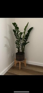 Soporte de Madera Artesanal de Primera Calidad para Macetas, Soporte de Lujo para Plantas de Interior y Exterior - Product Image 2