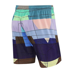 Pantalones Cortos de Malla Sublimados con Diseño Personalizado 2026, Transpirables, con Cintura Elástica y Bolsillos, para Hombre - Product Image 5