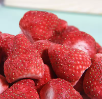 Suikerarme gevriesdroogde hele aardbeien, geconserveerd fruit, zacht, gezond, natuurlijk, bulk, vacuüm verpakt, snack