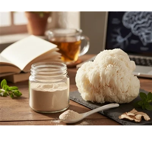 Poudre de champignon crinière de lion de haute qualité en vrac, extrait biologique d'Hericium erinaceus, supplément nootropique pour la santé cérébrale, la mémoire et la concentration - Product Image 3