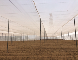 Filet d'ombrage Mono+Mono 50% 125gsm en PE pour l'agriculture, les serres et les nichoirs, avec stabilisation UV - Product Image 2