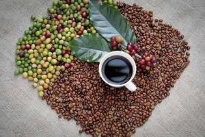 กาแฟโรบัสต้าคั่วบดแบบออร์แกนิคแท้ 100% คุณภาพสูง ข้อบกพร่องต่ำ ได้รับการรับรองมาตรฐาน ISO 22000 จำหน่ายจำนวนมาก - Product Image 4