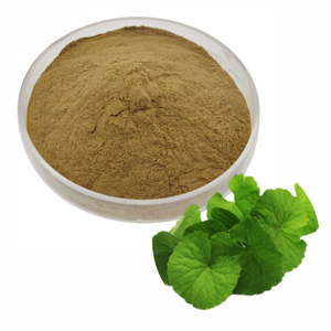 Poudre de feuilles de Brahmi 100% pure, naturelle, de qualité cosmétique, pour une routine de soin des cheveux naturellement forte et lisse. - Product Image 2