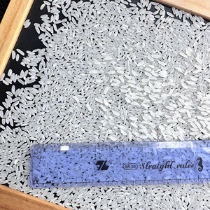 Riz blanc Calrose du Vietnam, grain moyen, 5% de brisures, fournisseur en gros, OEM, marque privée, emballage de détail, export FOB HCM/ ANNA - Product Image 5