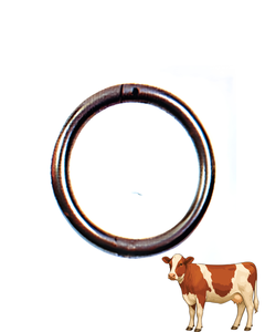 Anillo Nasal Veterinario Surtechs Bull Ring de Acero Inoxidable de 2 3/4 Pulgadas para Ganado - Product Image 1