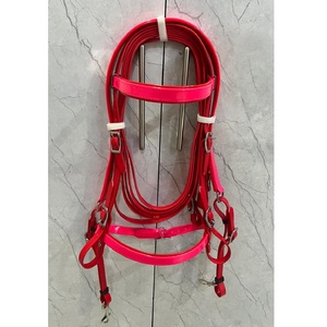 Juego de Brida para Caballo de PVC Rosa Rojo con Riendas a Juego, Duradero, Impermeable, Ajustable, con Accesorios de Acero Inoxidable, en 4 Tamaños - Product Image 1