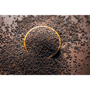 Extrait d'herbes de graines de moutarde brune Brassica Nigra, pureté 99%, qualité A+, emballage sous vide en fût - Product Image 1