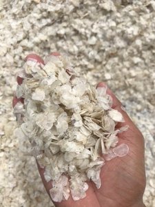 El MEJOR PRECIO Escamas de Pescado Secas de Barramundi/Tilapia con 90% de Proteína, Secas al Sol para Extracción de Gelatina, Sra. Lily - Product Image 6