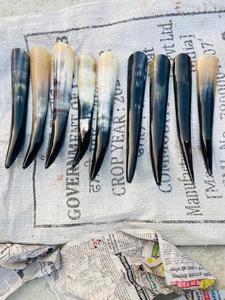 Nuevo Calzador Ecológico Hecho a Mano con Forma Natural - Product Image 3