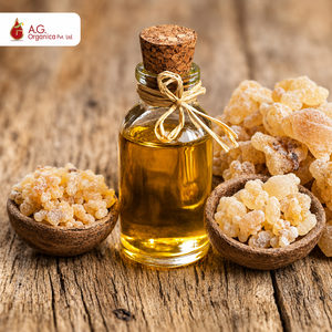 Proveedor de Aceite Esencial de Incienso Puro y Natural a Precio de Mayoreo, Aceite de Boswellia Serrata, Proveedores de Aceite Esencial Natural al por Mayor - Product Image 1
